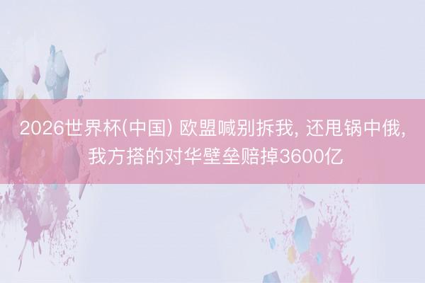 2026世界杯(中国) 欧盟喊别拆我， 还甩锅中俄， 我方搭的对华壁垒赔掉3600亿