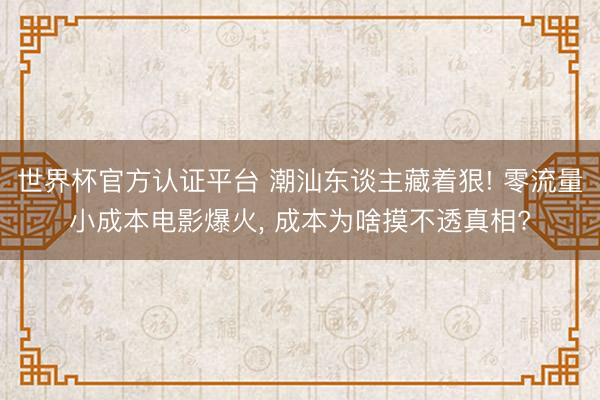 世界杯官方认证平台 潮汕东谈主藏着狠! 零流量小成本电影爆火， 成本为啥摸不透真相?