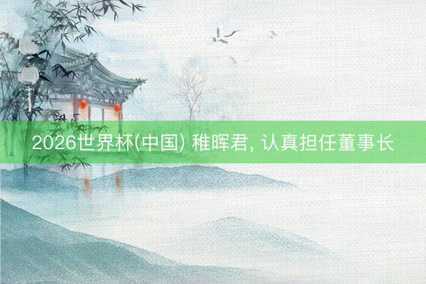 2026世界杯(中国) 稚晖君， 认真担任董事长