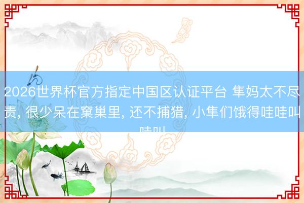 2026世界杯官方指定中国区认证平台 隼妈太不尽责， 很少呆在窠巢里， 还不捕猎， 小隼们饿得哇哇叫