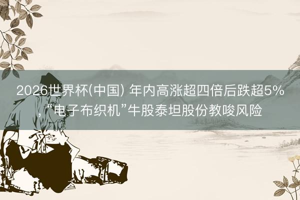 2026世界杯(中国) 年内高涨超四倍后跌超5%, “电子布织机”牛股泰坦股份教唆风险