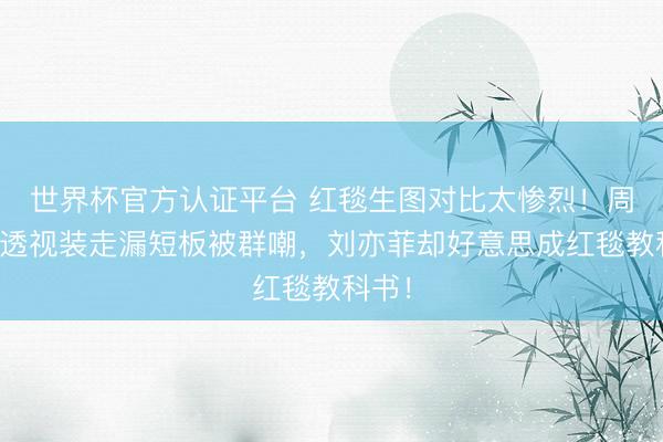 世界杯官方认证平台 红毯生图对比太惨烈！周冬雨透视装走漏短板被群嘲，刘亦菲却好意思成红毯教科书！