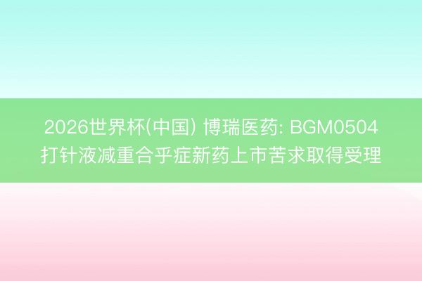 2026世界杯(中国) 博瑞医药: BGM0504打针液减重合乎症新药上市苦求取得受理
