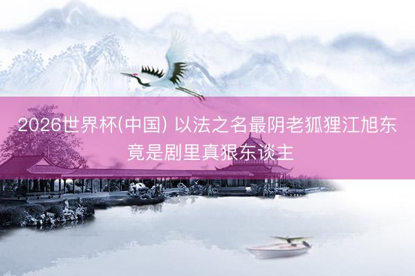 2026世界杯(中国) 以法之名最阴老狐狸江旭东 竟是剧里真狠东谈主