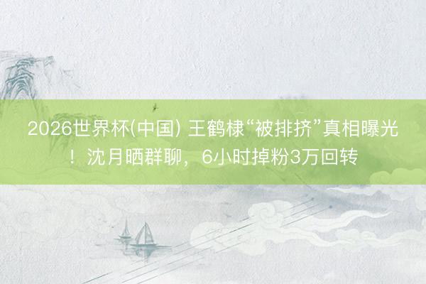 2026世界杯(中国) 王鹤棣“被排挤”真相曝光！沈月晒群聊，6小时掉粉3万回转