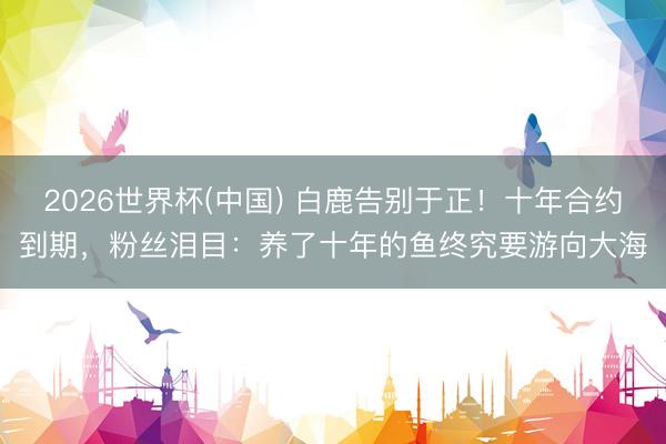 2026世界杯(中国) 白鹿告别于正！十年合约到期，粉丝泪目：养了十年的鱼终究要游向大海