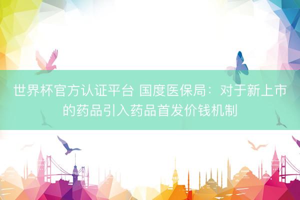 世界杯官方认证平台 国度医保局：对于新上市的药品引入药品首发价钱机制