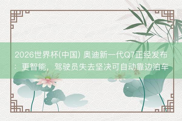 2026世界杯(中国) 奥迪新一代Q7正经发布:更智能,驾驶员失去坚决可自动靠边泊车