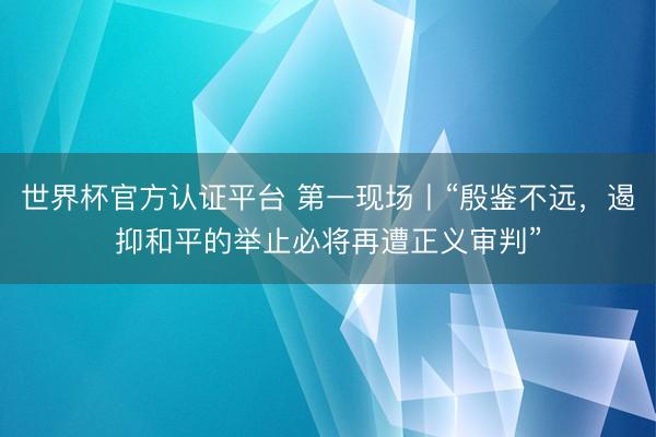 世界杯官方认证平台 第一现场丨“殷鉴不远，遏抑和平的举止必将再遭正义审判”