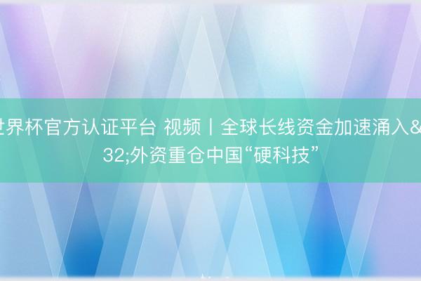 世界杯官方认证平台 视频丨全球长线资金加速涌入 外资重仓中国“硬科技”