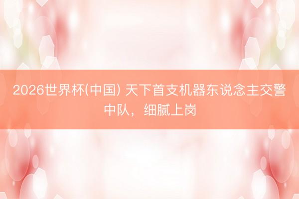 2026世界杯(中国) 天下首支机器东说念主交警中队，细腻上岗