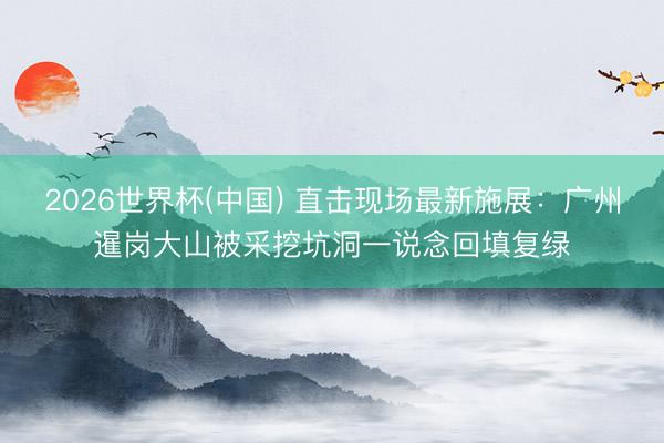 2026世界杯(中国) 直击现场最新施展:广州暹岗大山被采挖坑洞一说念回填复绿